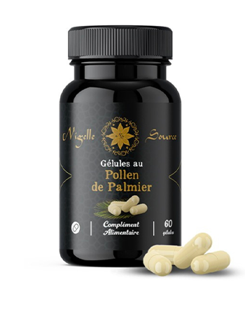 GELULES POLLEN DE PALMIER BIO