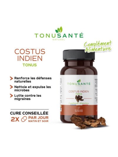 GELULES COSTUS INDIEN