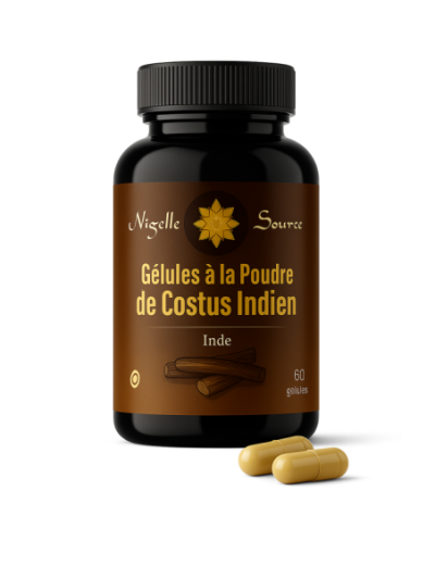 GELULES COSTUS INDIEN